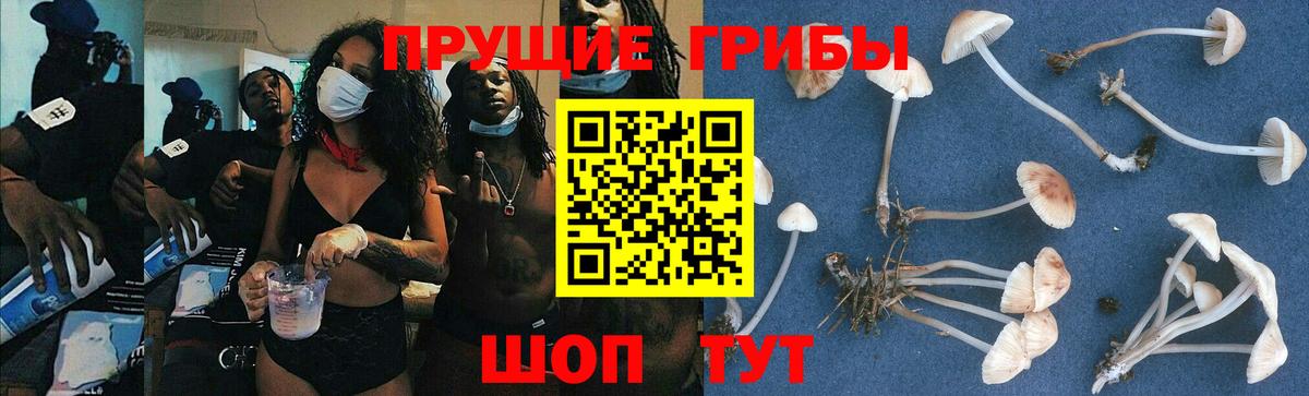 цены   Галлюциногенные грибы Psilocybe  Вход с VPN  Чусовой  Псилоцибиновые грибы GOLDEN TEACHER 